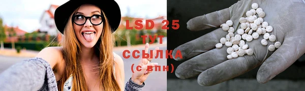 гашик Балахна