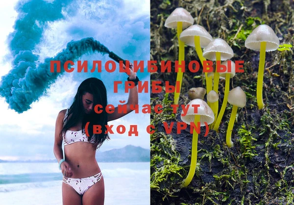 гашик Балахна